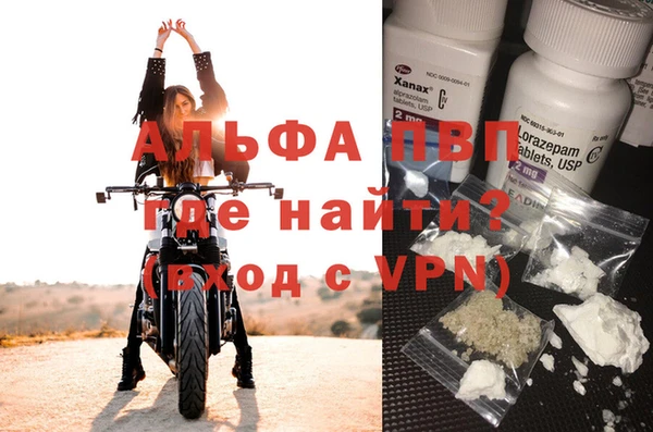 стафф Алексин