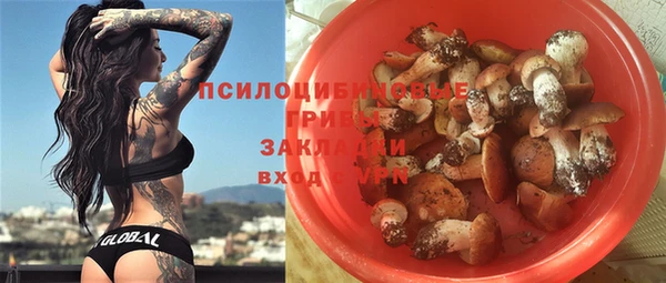 стафф Алексин